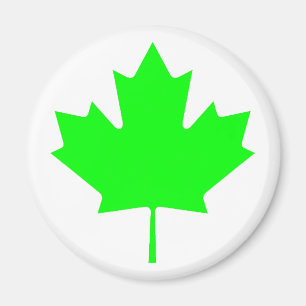 Imán Hoja de arce LtTransp verde los regalos de Zazzle 