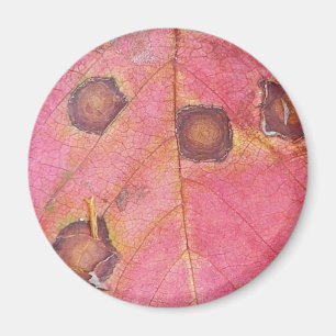 Imán Hoja de caída roja punteada marrón