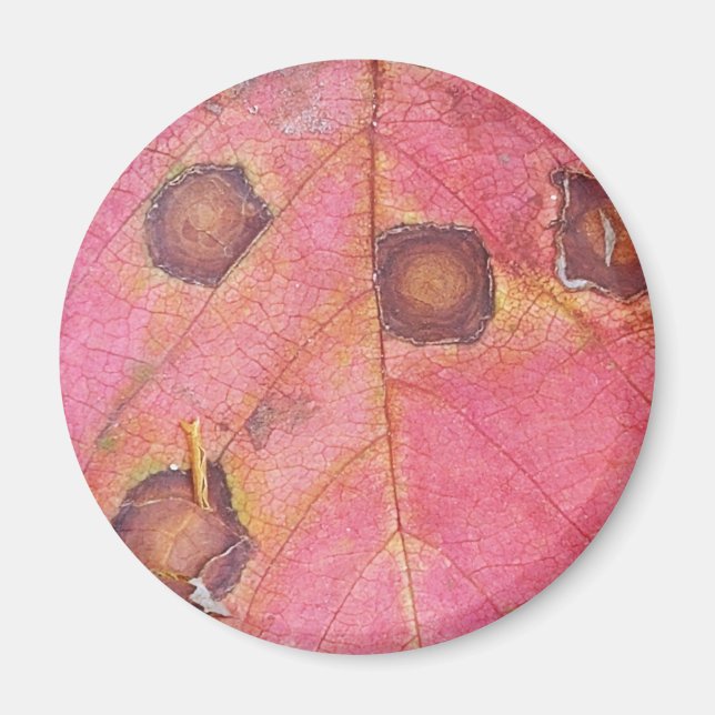 Imán Hoja de caída roja punteada marrón (Frente)