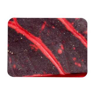 Imán Hoja de Hawaití con la vena roja 3
