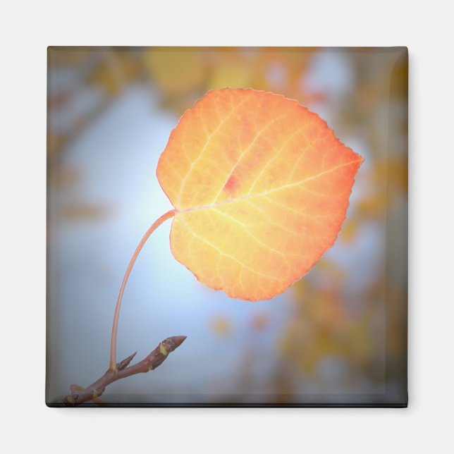Imán Hoja de imán-Aspen (Frente)