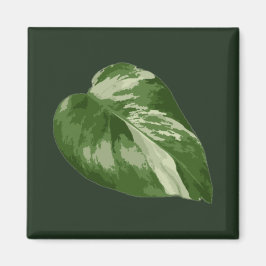 Imán Hoja de Monstera Albo — Rara Variegación 