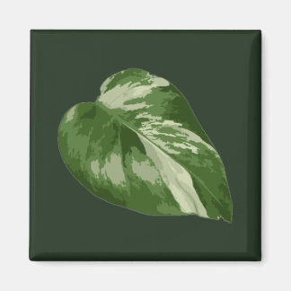 Imán Hoja de Monstera Albo — Rara Variegación