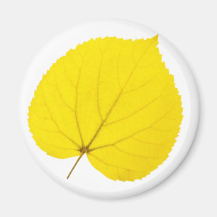 Imán Hoja de otoño de linden
