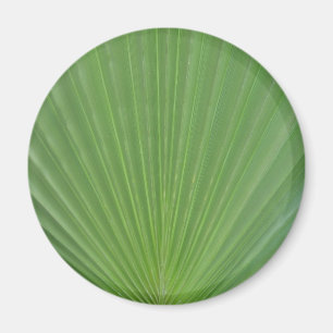 Imán Hoja de palma