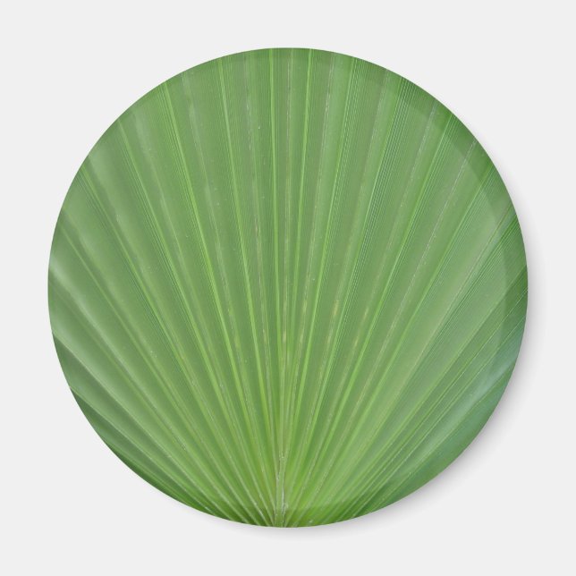 Imán Hoja de palma (Frente)