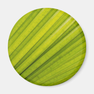 Imán Hoja de palma