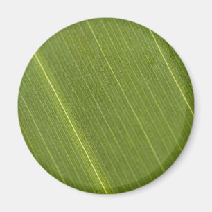 Imán Hoja de palmera