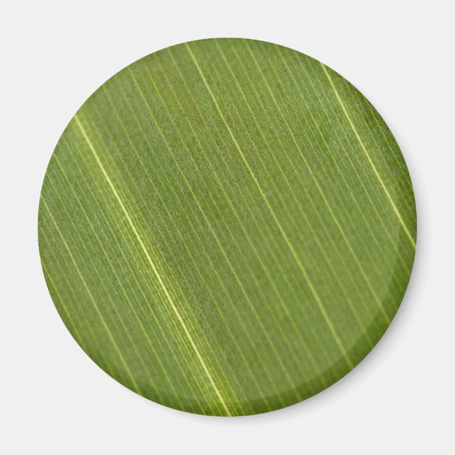 Imán Hoja de palmera (Frente)