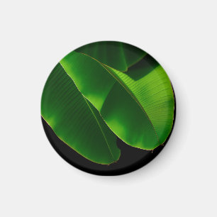 Imán Hoja de plátano verde vibrante tropical primer pla