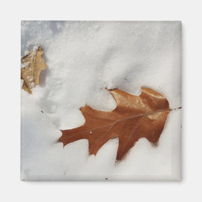 Imán hoja de roble en la nieve (Frente)