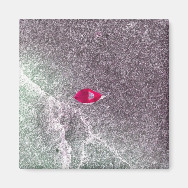 Imán Hoja roja con arena espinosa (Frente)