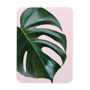 Imán Hoja tropical de Monstera