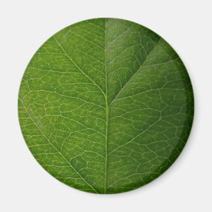 Imán Hoja verde