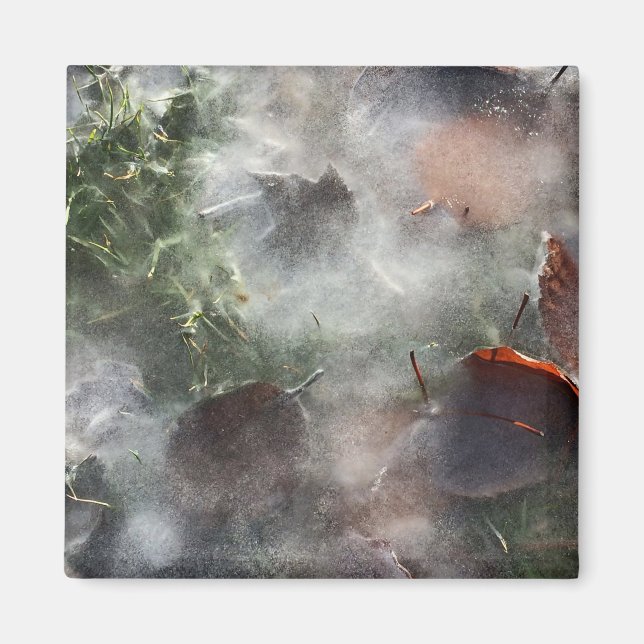 Imán hojas bajo hielo (Frente)