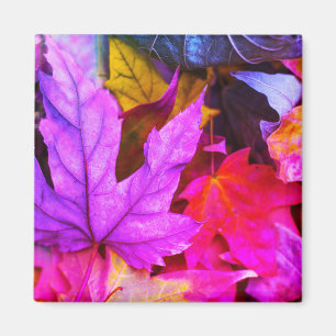 Imán Hojas de arce de otoño coloridas naturaleza otoñal