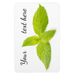 Imán Hojas de mimbre