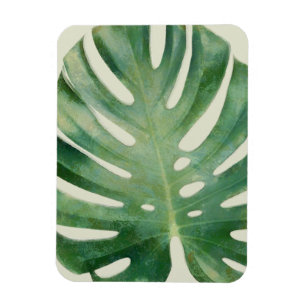 Imán Hojas de monstera