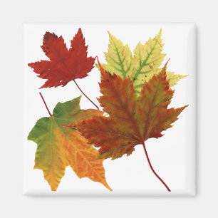 IMÁN HOJAS DE OTOÑO