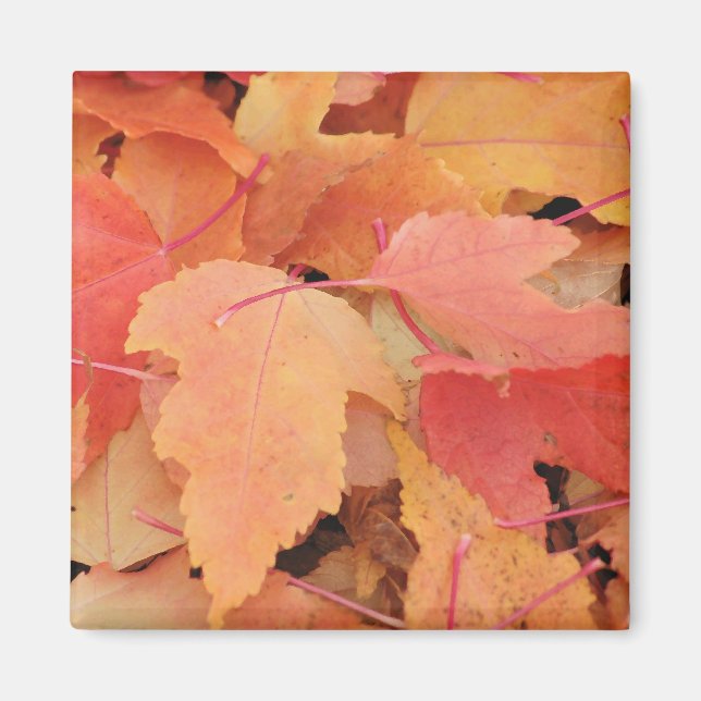 Imán Hojas de otoño (Frente)