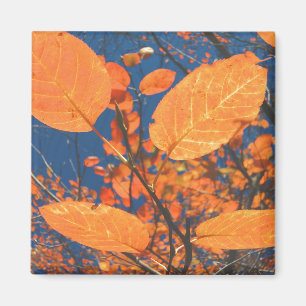 Imán Hojas de otoño