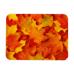 Imán Hojas de otoño