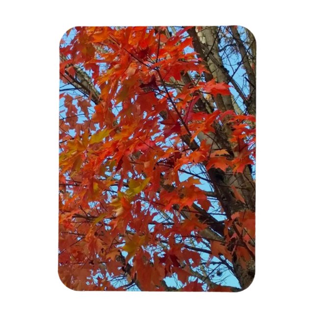 Imán Hojas de otoño rojas (Vertical)