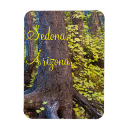 Imán Hojas doradas en el sendero de la horquilla occide