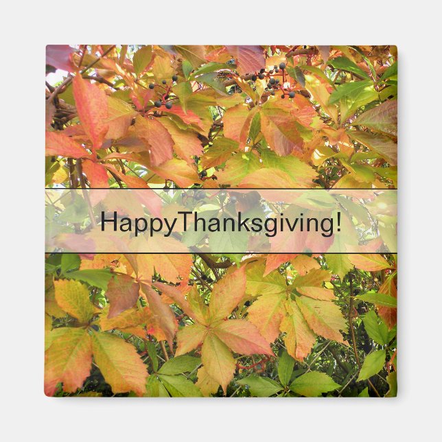 Imán Hojas salvajes de la vid del otoño (Frente)