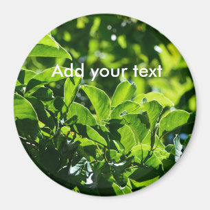 Imán Hojas verdes de primavera. Fotografía de la natura