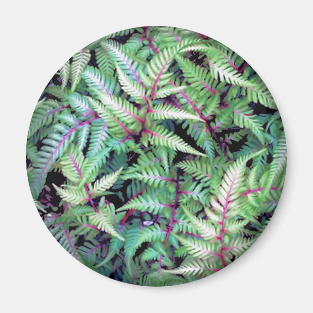 Imán HOJAS VERDES, PURPLE STEMS de SHARON SHARPE mug (Frente)