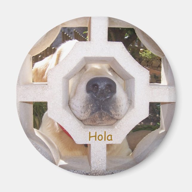 Imán Hola (Frente)