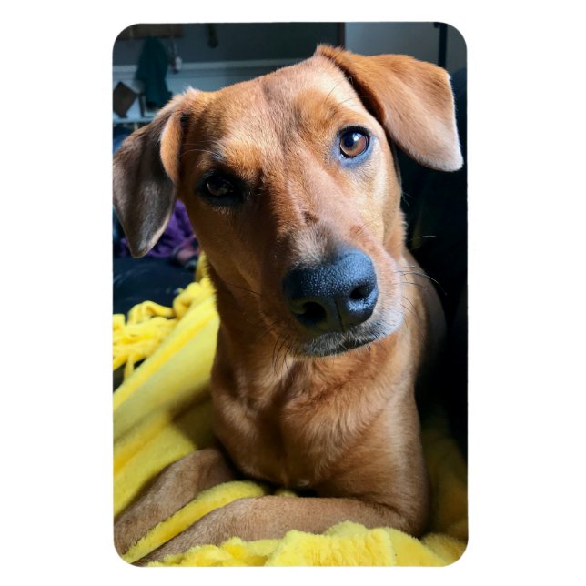 Imán Hola a todos (Vertical)