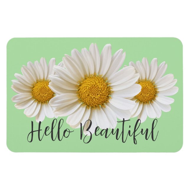 Imán Hola Bellos Daisies Blancos Sage Green Floral (Horizontal)