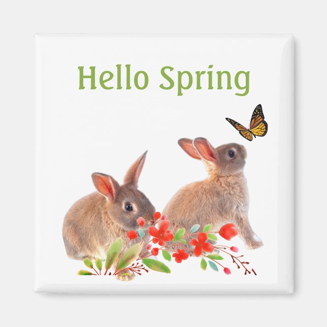 Imán Hola conejo de primavera y mariposa (Frente)