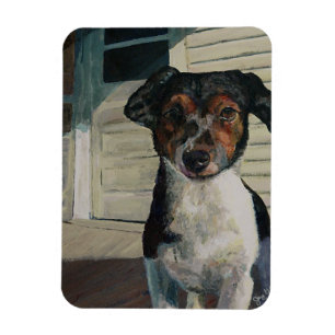 Imán ¡Hola! Magnate