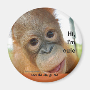 Imán Hola orangután lindo del bebé