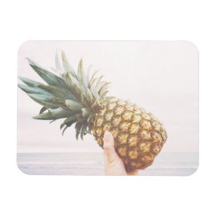 Imán Hola piña