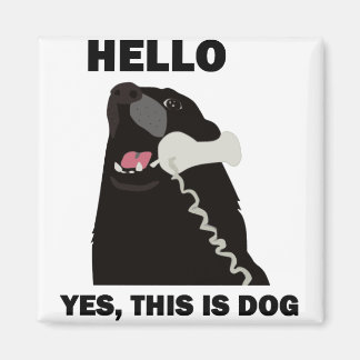 Imán HOLA SÍ ESTE ES EL teléfono del PERRO