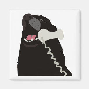 Imán HOLA SÍ ESTE ES EL teléfono del PERRO