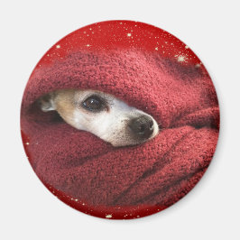 Imán Holiday Chihuahua