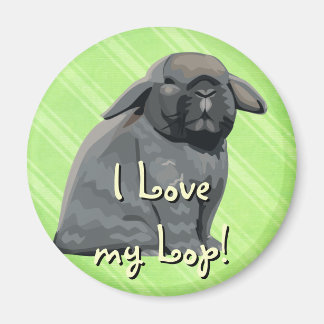Imán Holland Lop Magnet