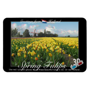 Imán Holland Tulips Landscape 3D View Anaglyph