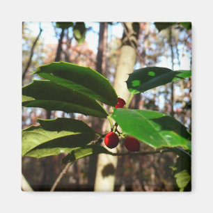 Imán Holly Leaves I Holiday Botanical