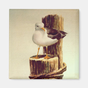 Imán HOMBRE MAYOR SEAGULL por SHARON SHARPE