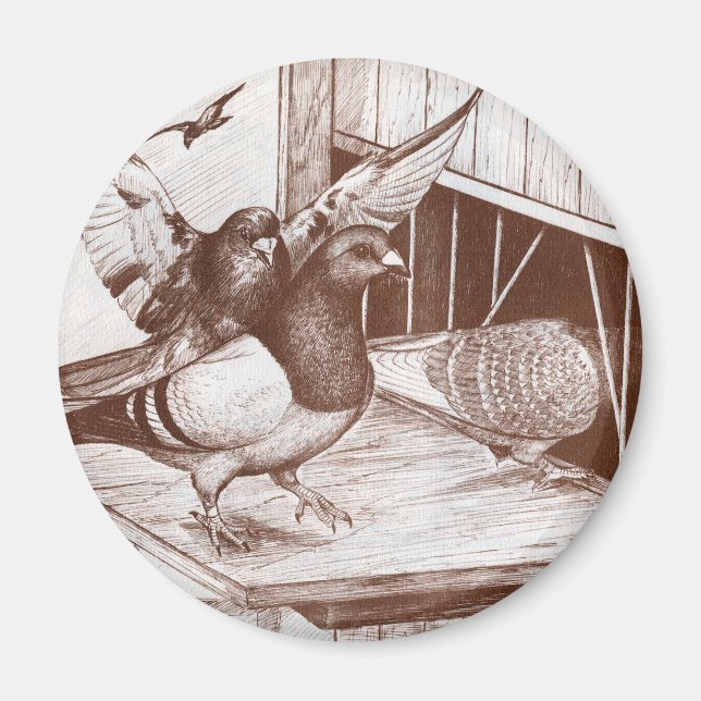 Imán Homecoming Homers (Frente)