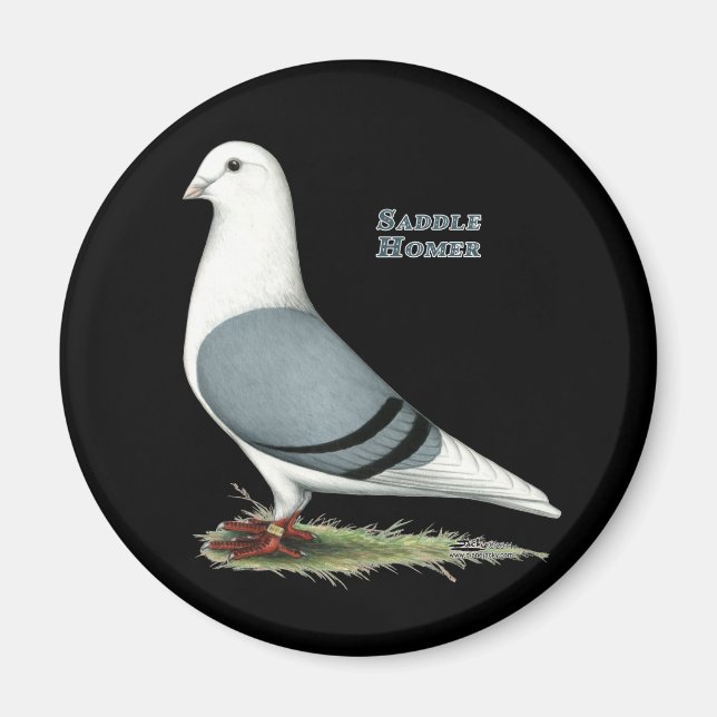 Imán Homer Blue Saddle (Frente)