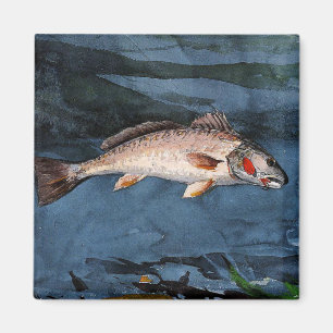 Imán Homer - Channel Bass, Florida