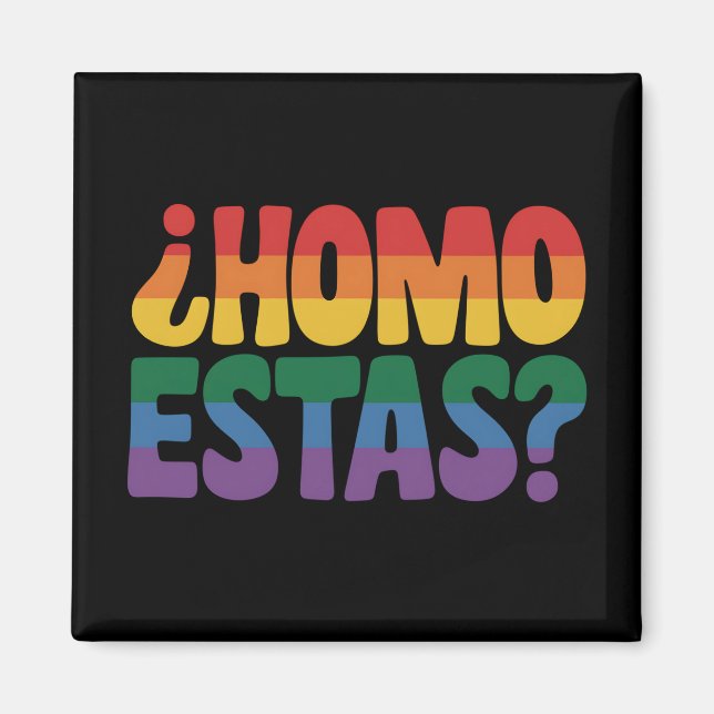 Imán Homo estás graciosa gay español mexicano aliado LG (Frente)