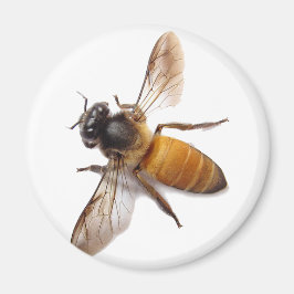 Imán Honey Bee
